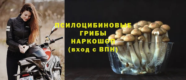 СК Беломорск