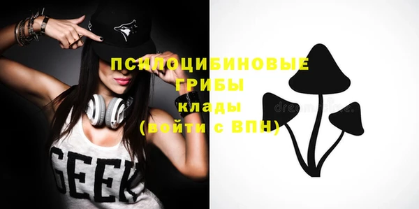 apvp Белокуриха