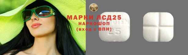 СК Беломорск