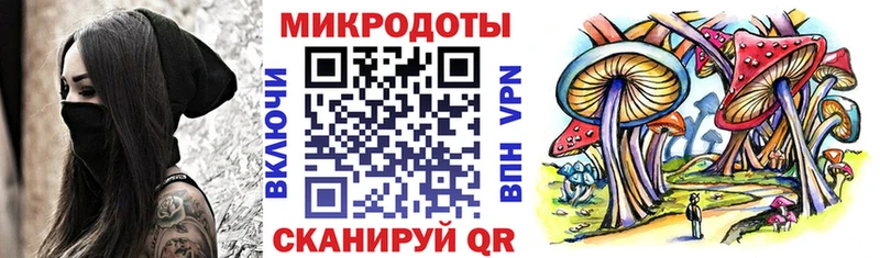 hydra зеркало Кузнецк Галлюциногенные грибы Psilocybine cubensis
