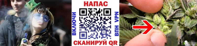 закладки Кузнецк Каннабис гибрид